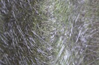 Selattyn fibreglass roof work